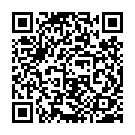 QR code for 991DYX