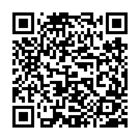 QR code for 991FTZ