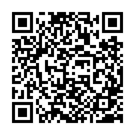 QR code for 991GLS
