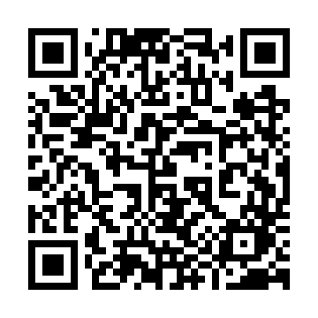 QR code for 991GTO