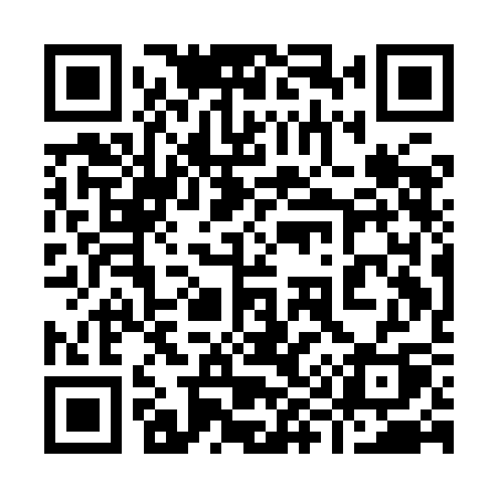 QR code for 991ICQ