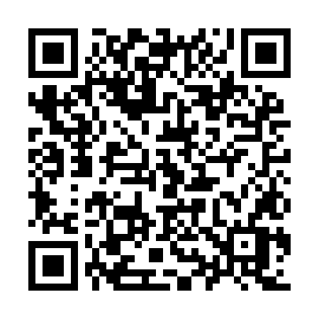 QR code for 991ILV