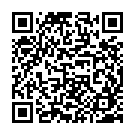 QR code for 991MIB