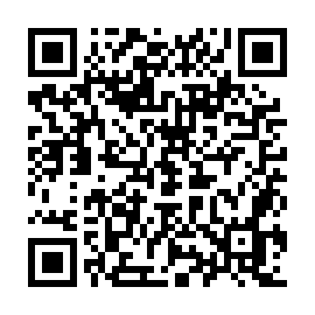 QR code for 991POO