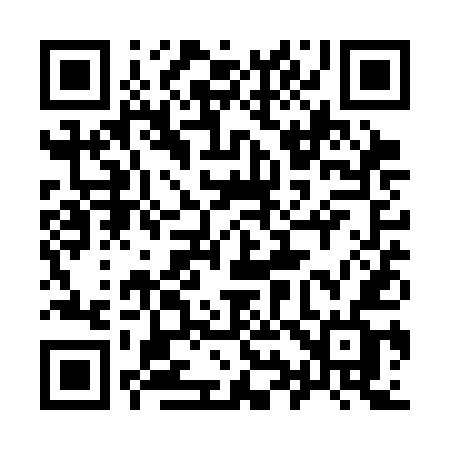 QR code for 991SEF