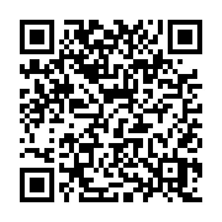 QR code for 991TDT