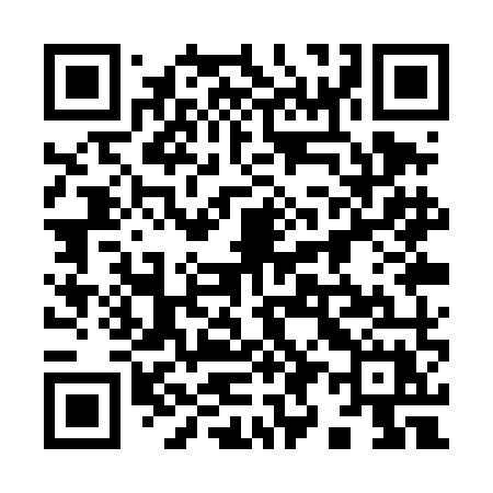 QR code for 991TMX