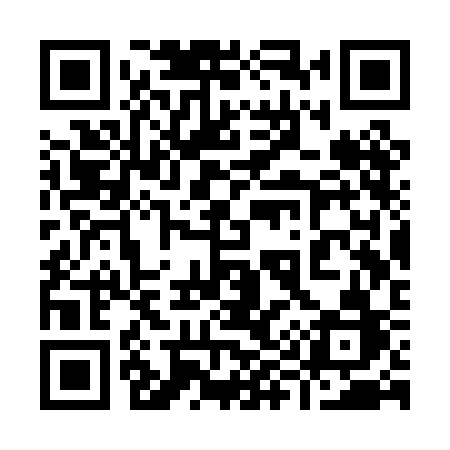 QR code for 993PCB
