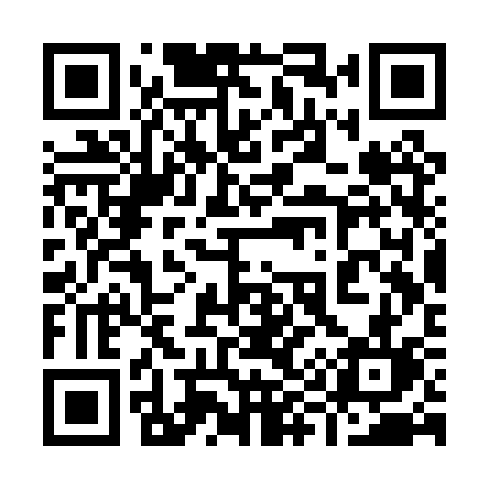 QR code for 993PSL