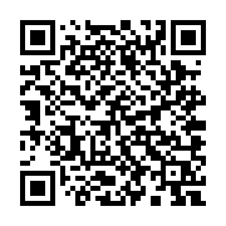 QR code for 994PMP