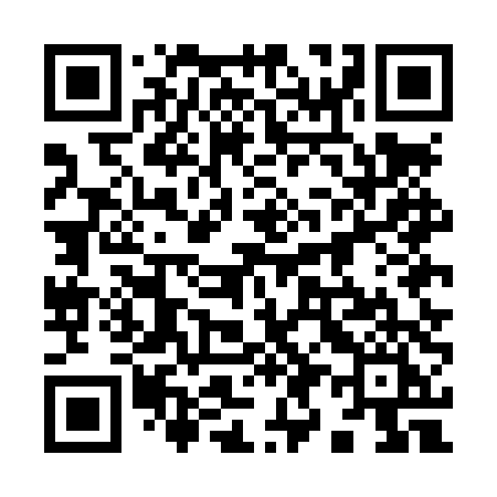QR code for 995LTI