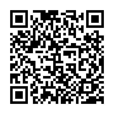 QR code for 995SAP