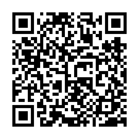 QR code for 996FIS