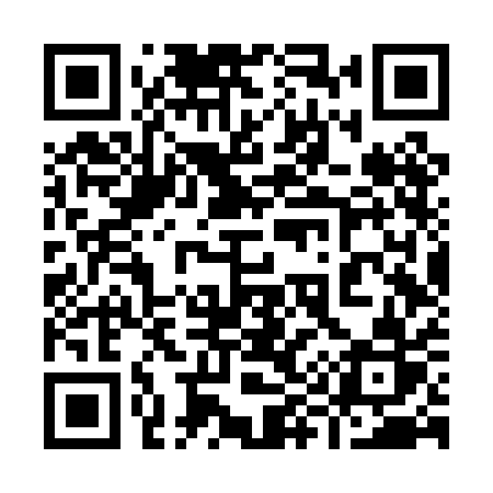 QR code for 996PAR