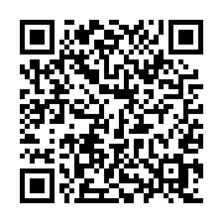 QR code for 996PUM