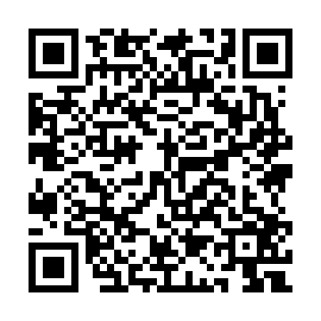 QR code for AA96065