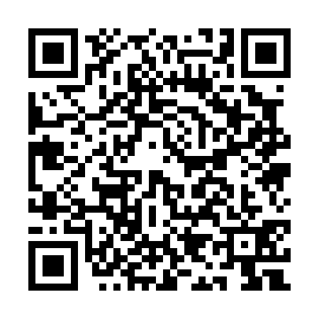 QR code for AI10313