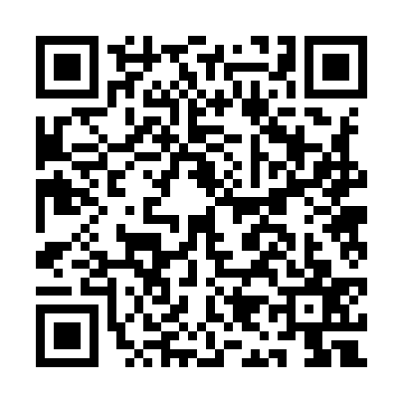 QR code for AI29370