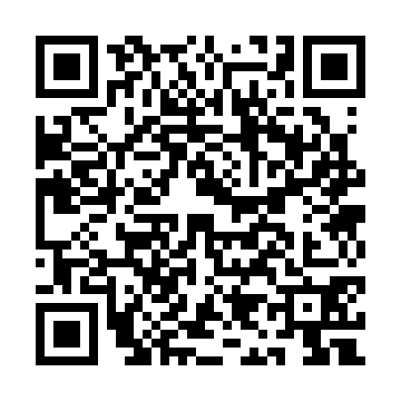QR code for AI33706