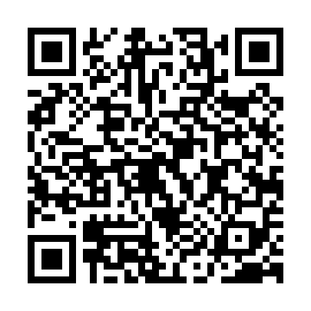 QR code for AI40595