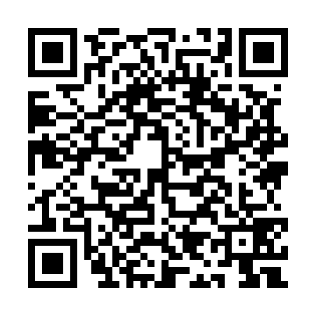 QR code for AI95796