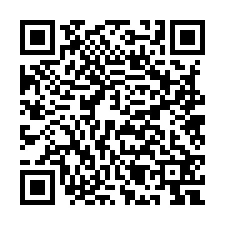 QR code for AM29228