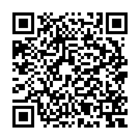 QR code for AM96572