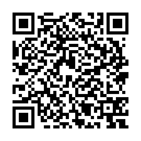 QR code for AM96746