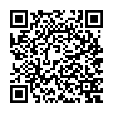 QR code for AN53737