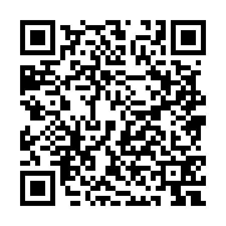 QR code for AN85729