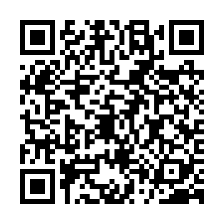 QR code for AP32295