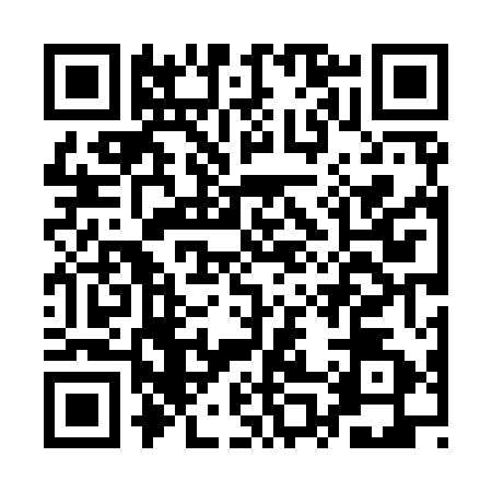 QR code for AP49521
