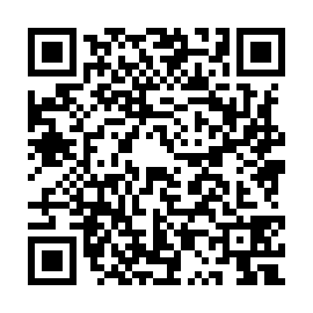 QR code for AP89385