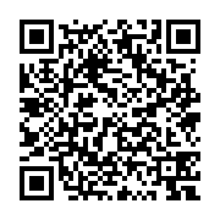 QR code for AV17381