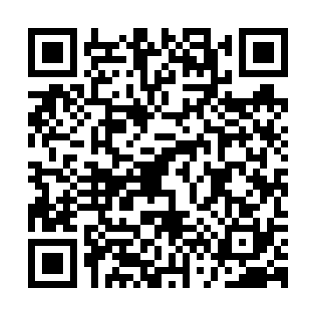 QR code for AV96309