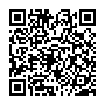QR code for AY11297