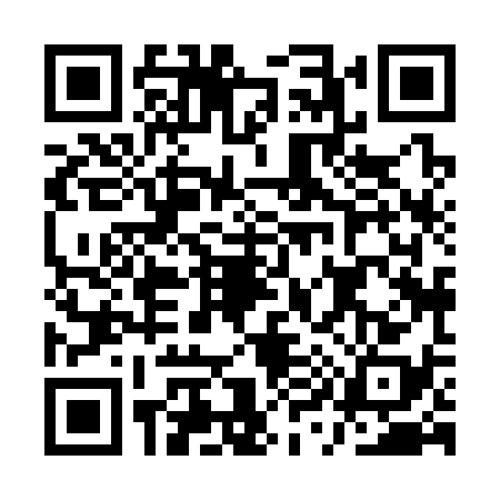 QR code for AY83383