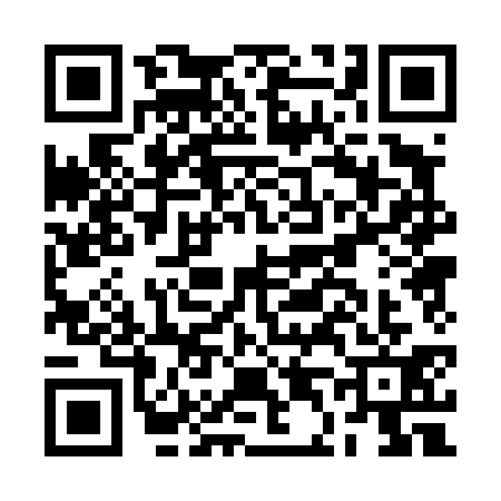 QR code for BD04313