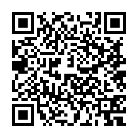 QR code for BF28308