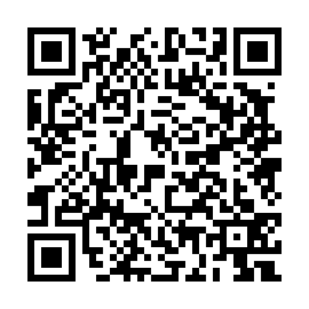 QR code for BG04336
