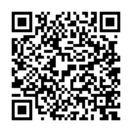 QR code for BG20594