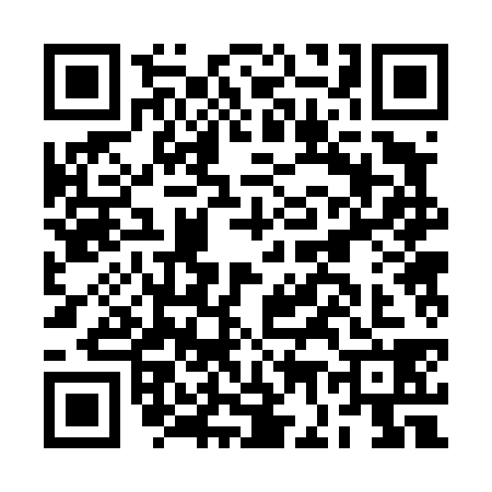 QR code for BG24383