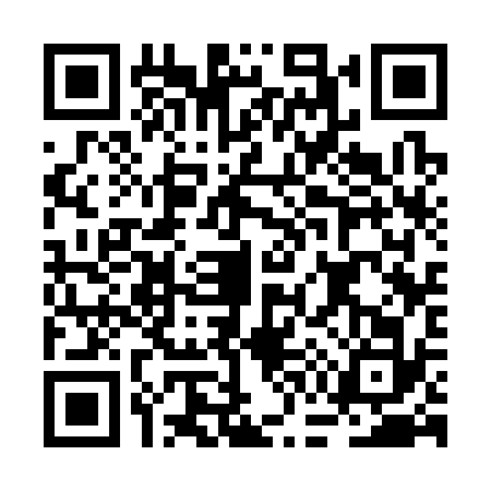 QR code for BG33328