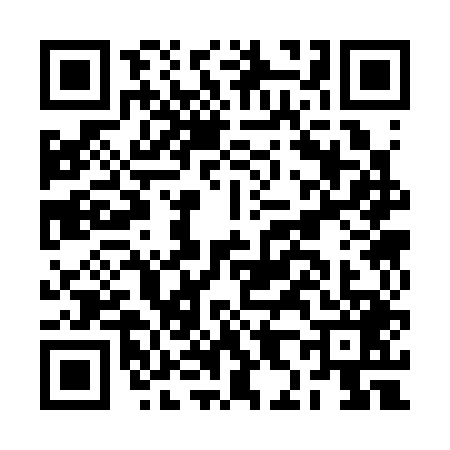 QR code for BH33493