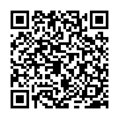 QR code for BI52494