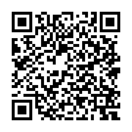 QR code for BI95033