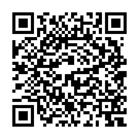 QR code for BJ06533