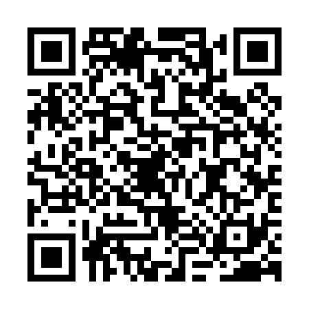 QR code for BL30314