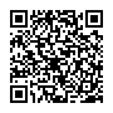 QR code for BL87733