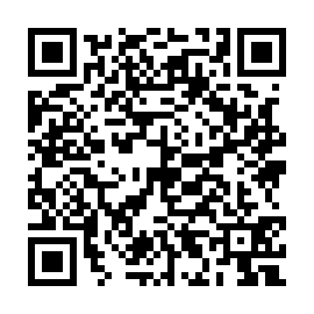QR code for BL91314